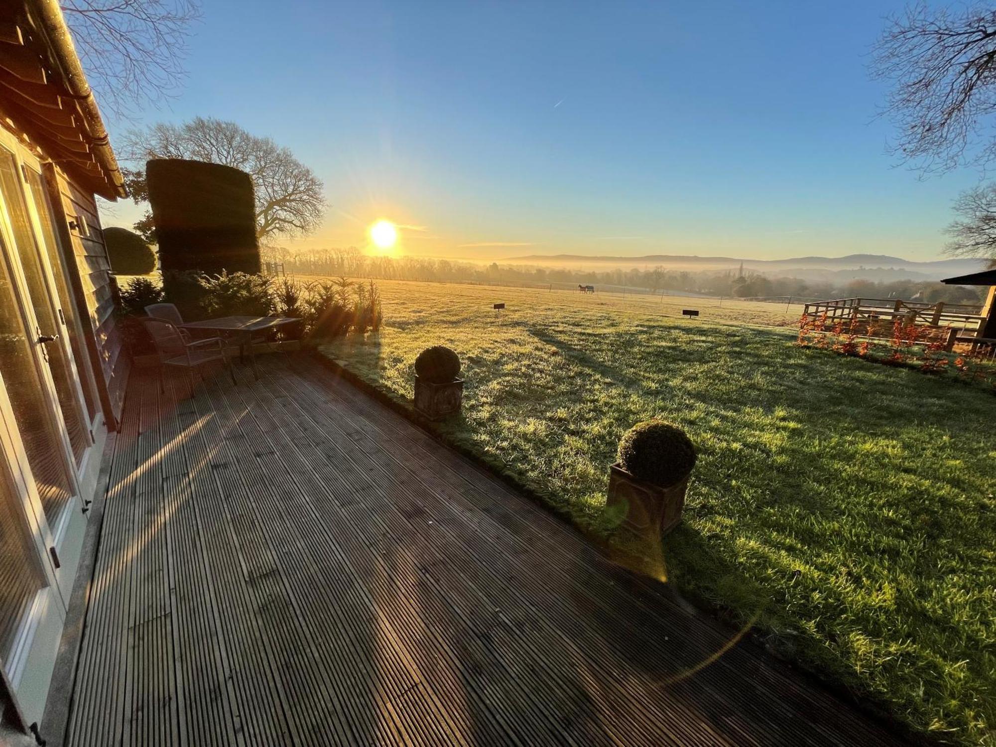 Stunning Cabin With Incredible Views Near Goodwood Rogate Bagian luar foto