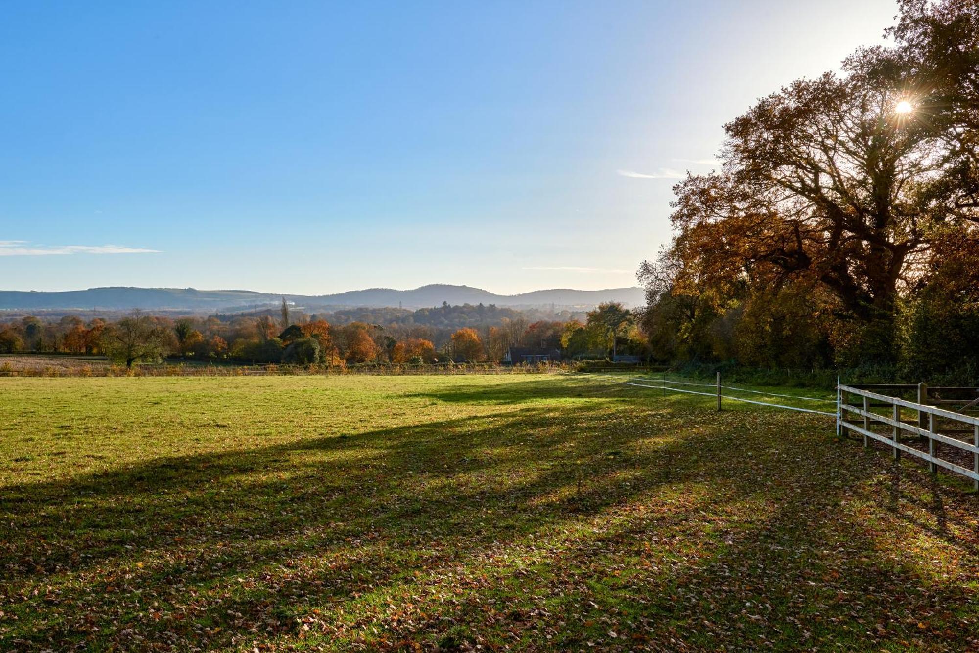 Stunning Cabin With Incredible Views Near Goodwood Rogate Bagian luar foto