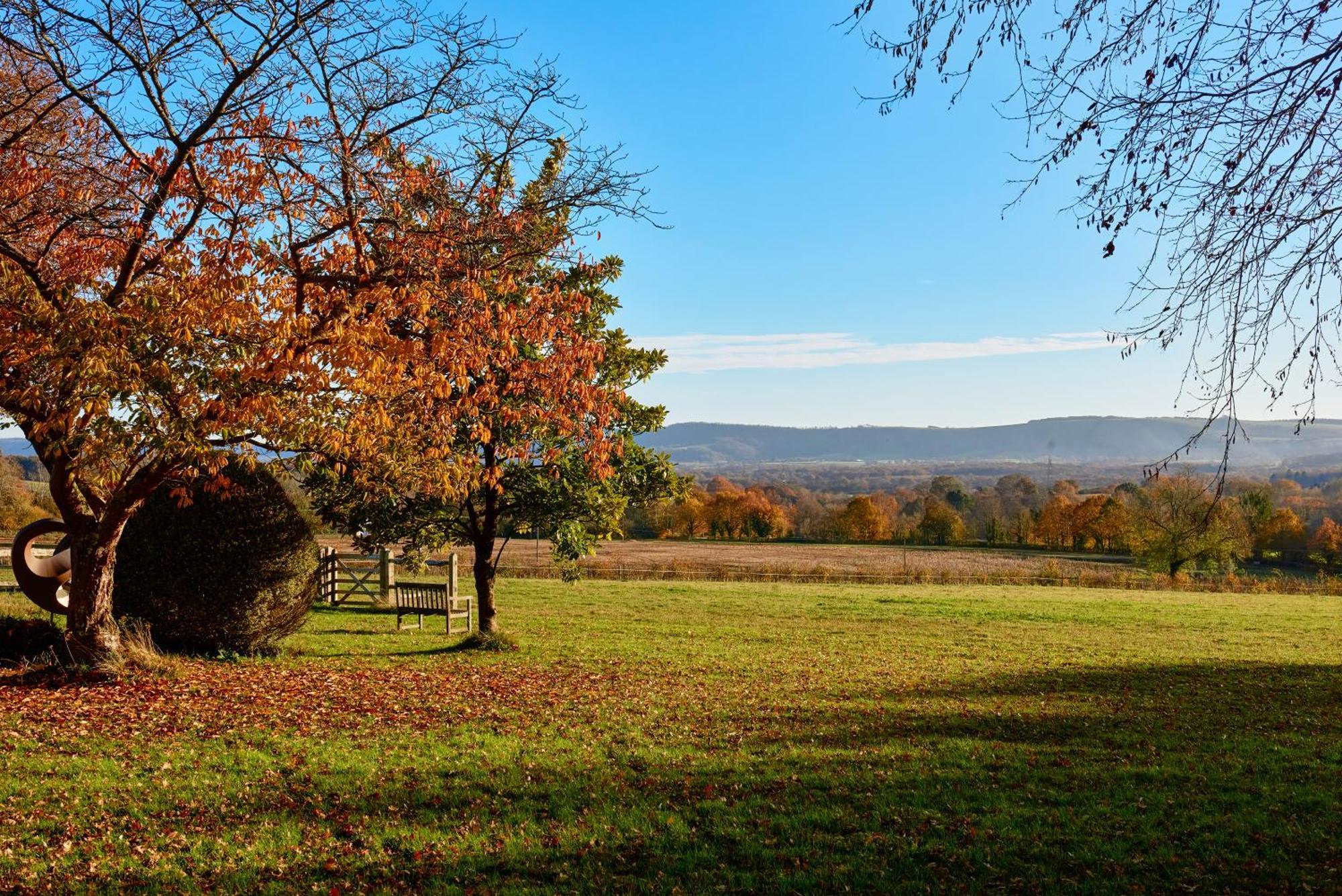 Stunning Cabin With Incredible Views Near Goodwood Rogate Bagian luar foto