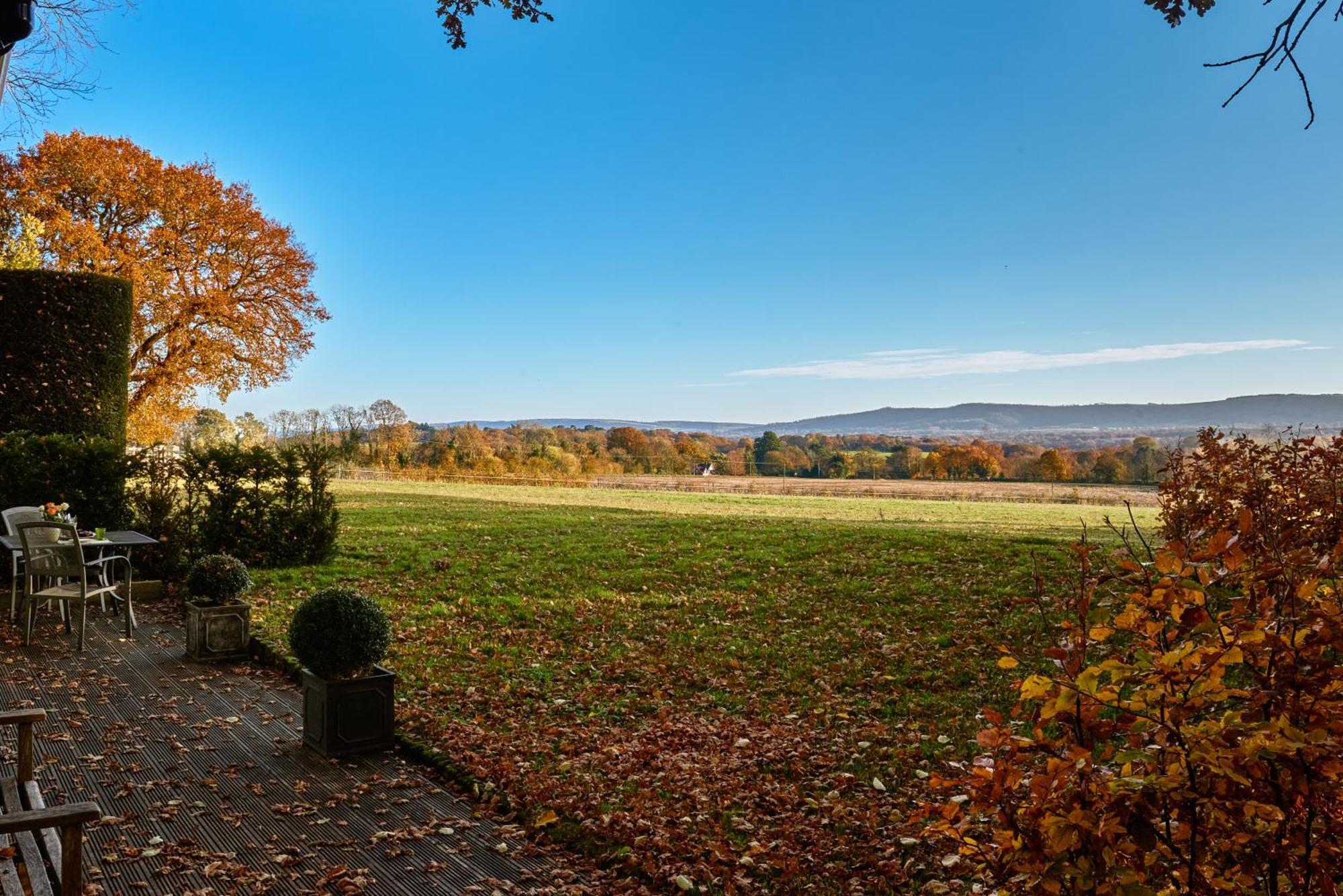Stunning Cabin With Incredible Views Near Goodwood Rogate Bagian luar foto